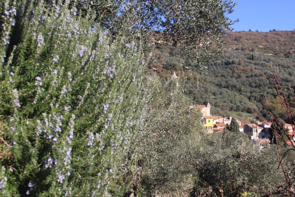 Montegrazie Apartment Imperia Dış mekan fotoğraf